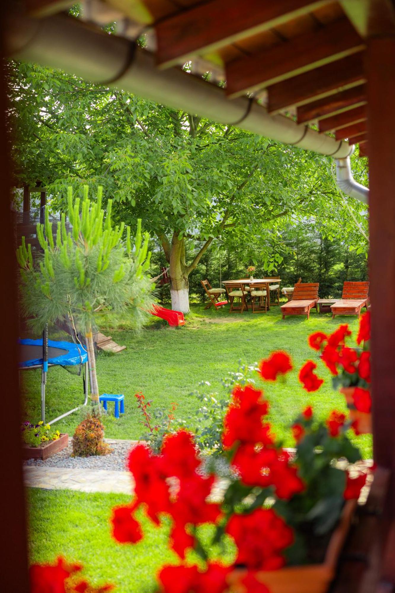 Pensiunea Regal Baile 1 Mai Exterior foto